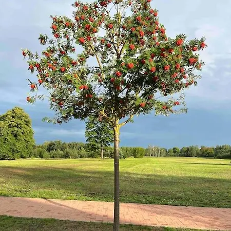 Mezapark Design Διαμέρισμα Ρίγα